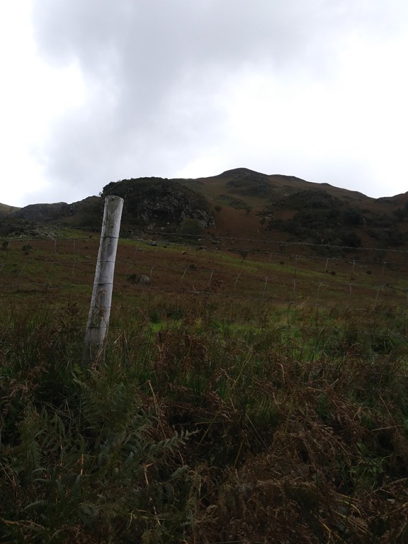 Lake District Countryside-72